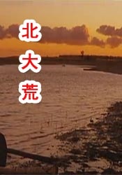 1080P手机在线看