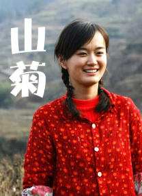 手机免费播放