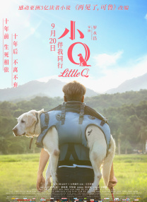 超清HD高清在线观看