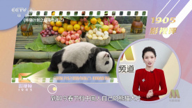 全集在线观看